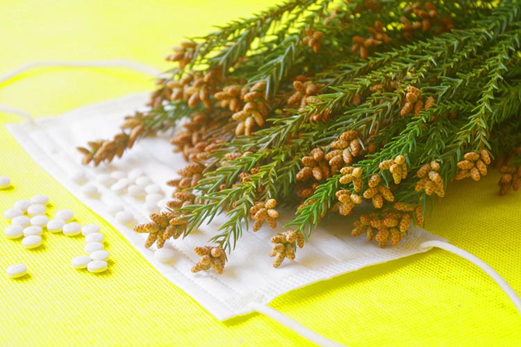 花粉症イメージ画像